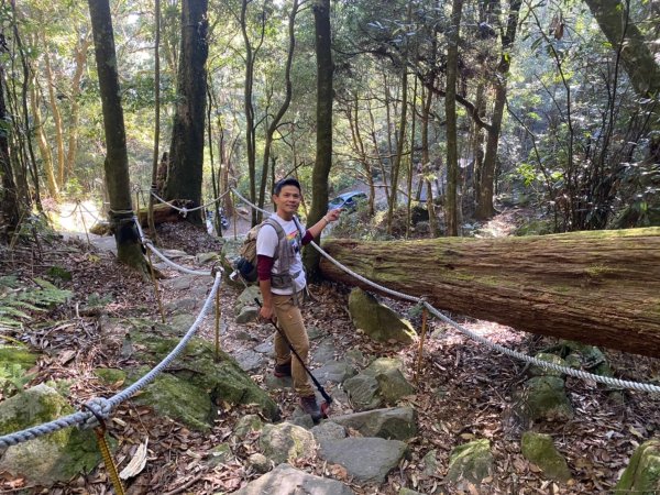 長壽山-醜崠山-鳶嘴山【既優雅又狂野的另類選擇】2674007