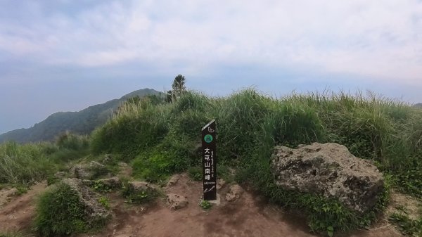 20250501_陽明山東西大縱走-round#32784148