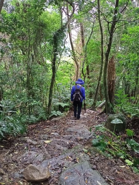 【山林美境尋寶石】內洞森林浴步道1124904