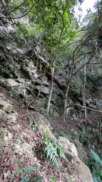 苗栗水雲三星-鳥嘴山（上島山）2651564