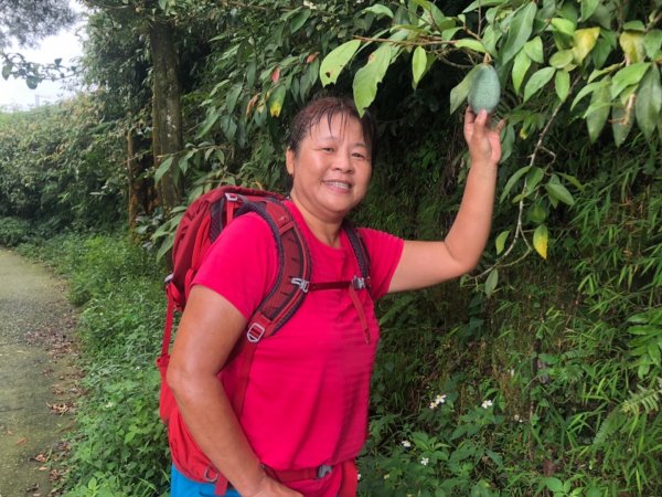 後棟山經挑筍古道上大尖山再走樟湖山1100390