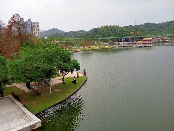 林蔭繁茂、綠草如茵的大湖公園【齊心鞋力尋寶去】1990427