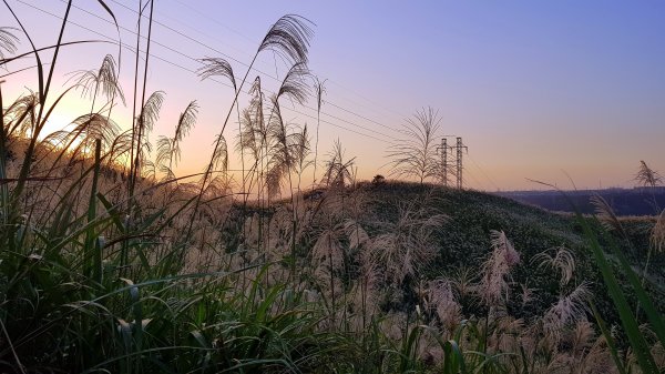 新北樹林-三角埔頂山1420650