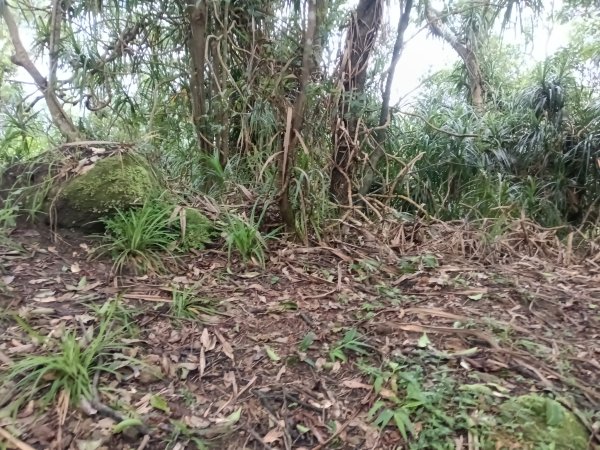 平溪區平溪子山遇雷雨O型2850129