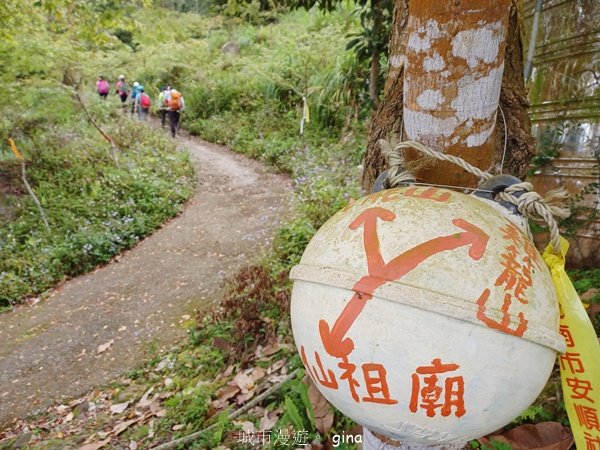 【台南白河】雞籠山+九龍山+大凍山O繞縱走2797138