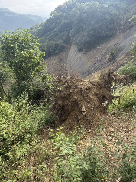 20251101烏山縱走北段 雲山寺至刣牛湖山(途經風空子山.孟璋山.烏山.刣牛湖山北峰)2928758