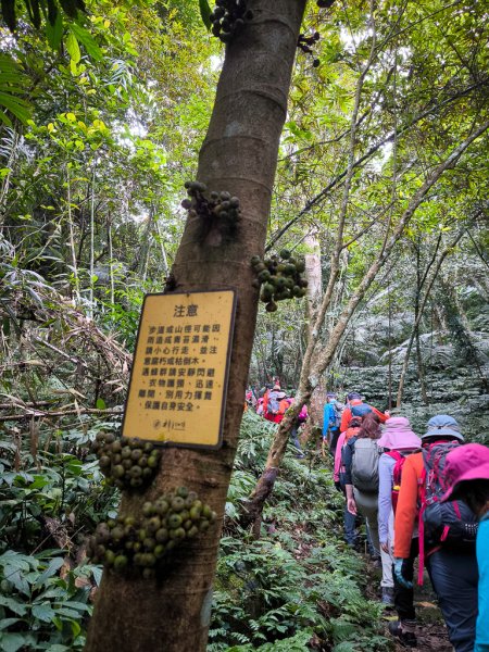 2026-01-25 龍潭小粗坑古道上石門山2994124