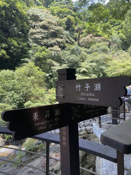 《十八份水圳步道 × 草山觀瀑吊橋 × 大屯瀑布 × 小隱潭瀑布｜陽明山夏日消暑健2856018