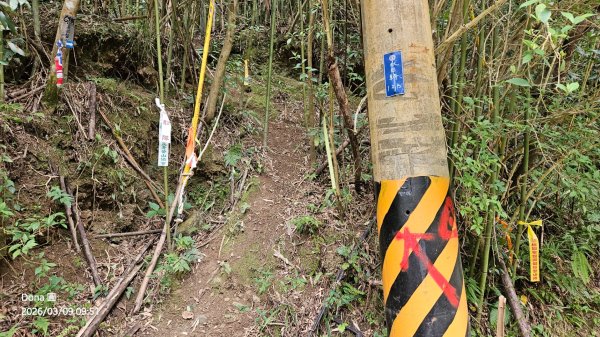 馬武督山西南峰+馬武督山O型走3012845