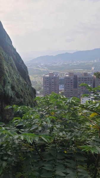 2025-0204 鶯歌_大凍山_三角埔頂山_迴龍2707990