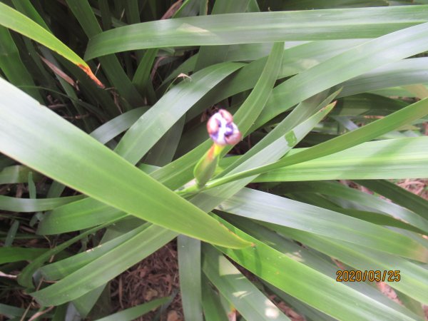 烘爐地南勢角山908504