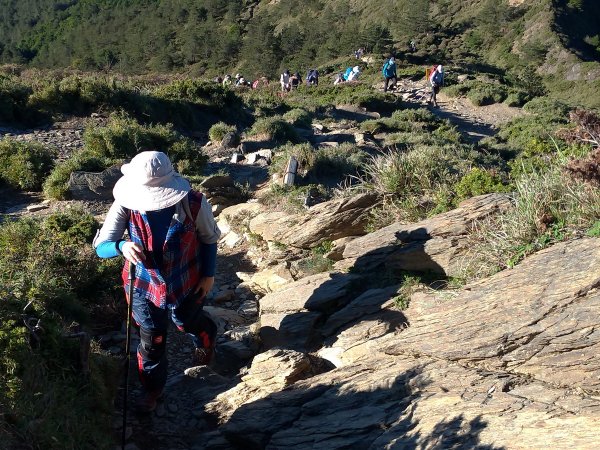 【南投縣仁愛鄉】合歡群峰2天1夜(下)1028148