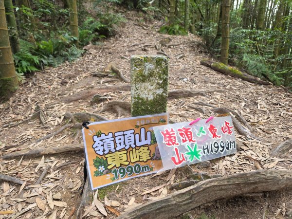 小百岳No.54⛰金柑樹山3119935