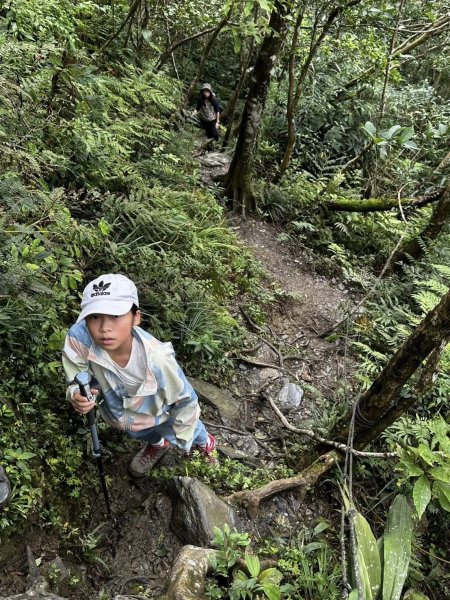20260204小百岳初音山2994919