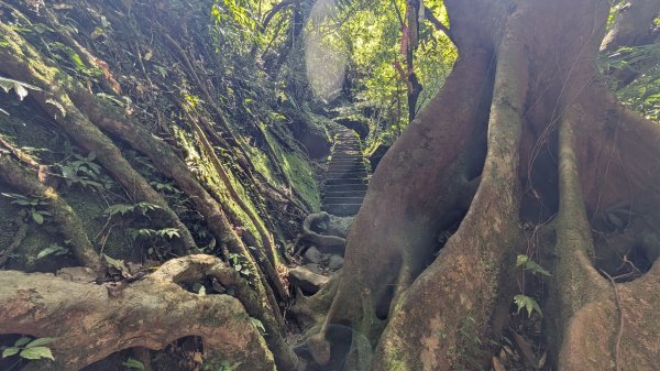 115.07.26孝子山-慈母峰-嶺腳瀑布-望谷瀑布之旅3091114