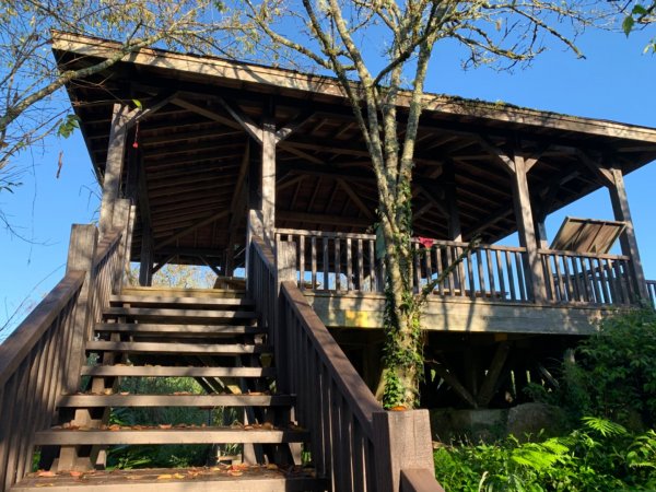 大凍山（小百岳）1117304