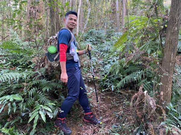 風櫃斗.牛稠坑.二坪山古道【遙知不是雪，為有暗香來】2703855