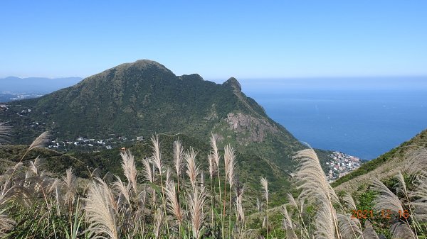 人品大爆發?天道酬勤?雲海好美好滿，芒花季再度大台北三寶之茶壺/半屏/燦光寮山1552243