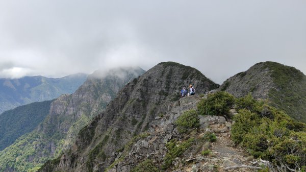 雪山主東北甘木林山下翠池2025年6月22日2823875