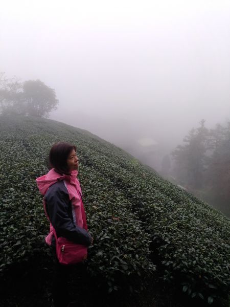 20180130 孝子路步道266088