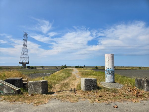 大肚溪濕地生態步道3136041