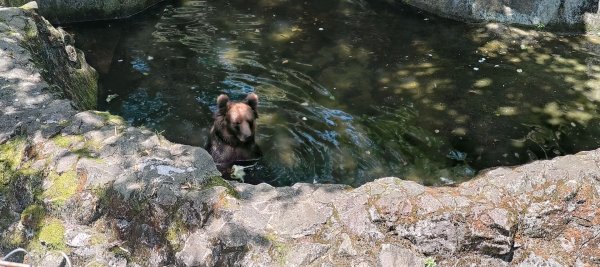 杭州動物園3089165