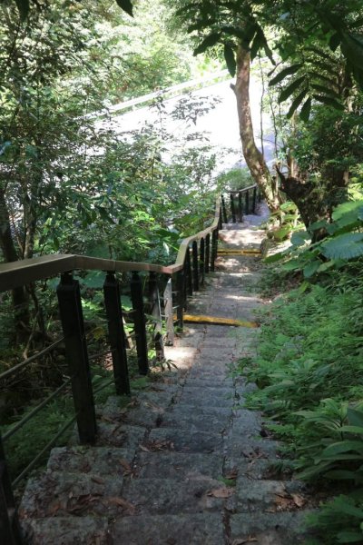 〔花蓮〕布洛灣吊橋+伊達斯步道+環流丘步道。一次走好走滿的布洛灣壯麗景觀步道2266364
