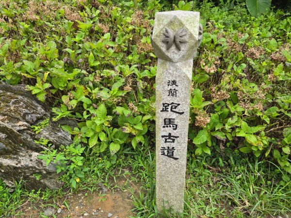 跑馬古道2895712