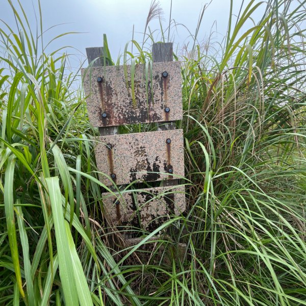 20251012_八里灣山（花蓮小百岳）2941303