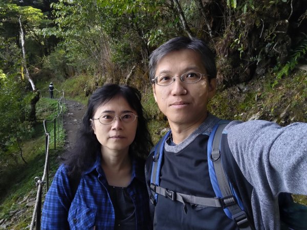 【新竹縣五峰鄉】檜山巨木森林步道2833695