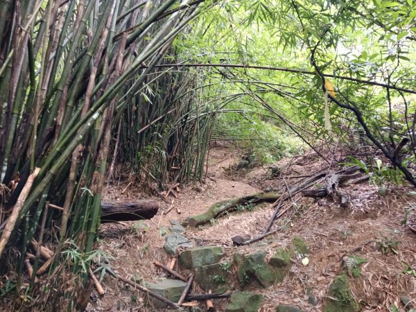 頭城鎮石城車站+隆嶺越嶺古道+隆嶺溪畔古道+福隆車站3002275