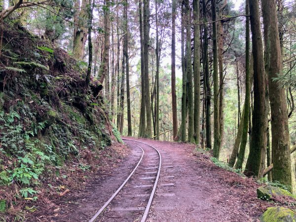 特富野古道2625586