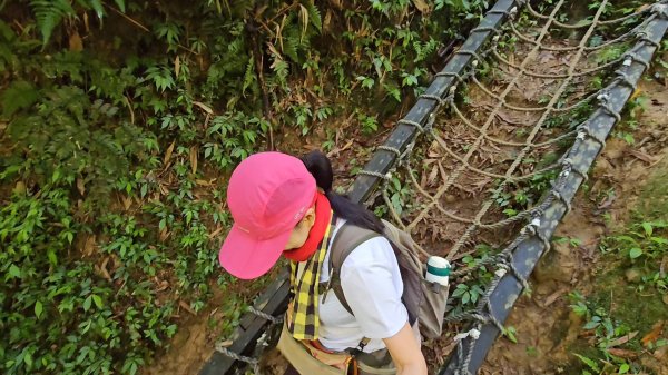 望古瀑布~嶺腳瀑布+深坑美食.阿柔洋.貓空2858434