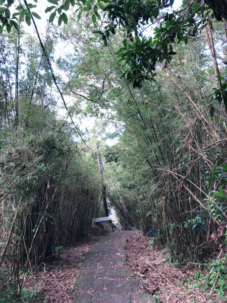 ~ 中 正 山 步 道 ~2782707