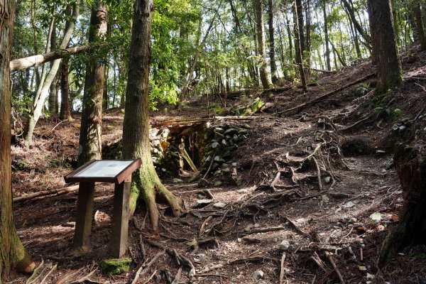 台中 和平 馬崙山2796948