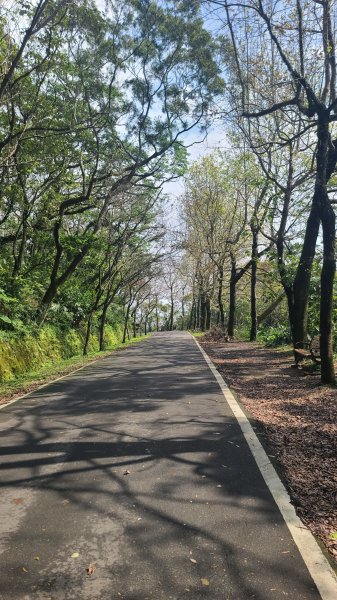 2025-0204 鶯歌_大凍山_三角埔頂山_迴龍2707871