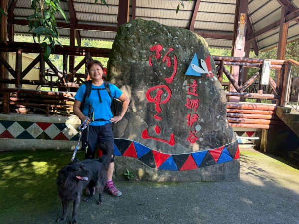 阿里山達娜伊谷、里美避難步道、巨石板步道2909962