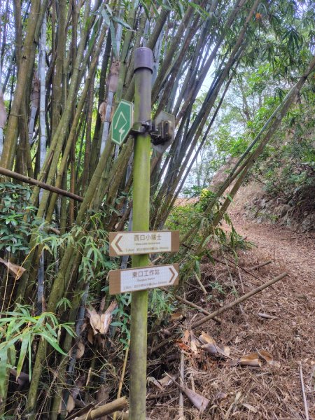 大棟山系南段 水利古道西口 上 竹高崙山 連走 鳥子嶺 坑仔內山 大崖山 下 龍目井農場2953144