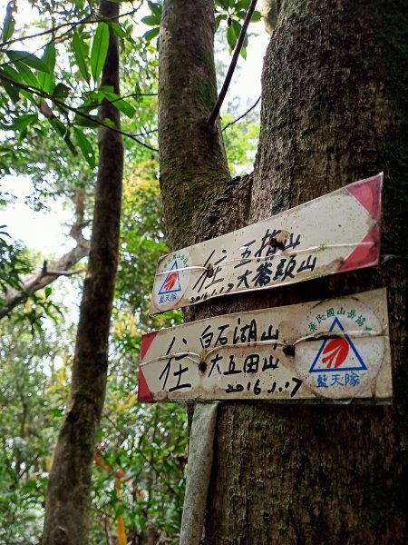 恣意快走內湖郊山1311372