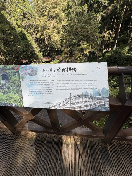 20251225塔山步道(大塔山)2970467