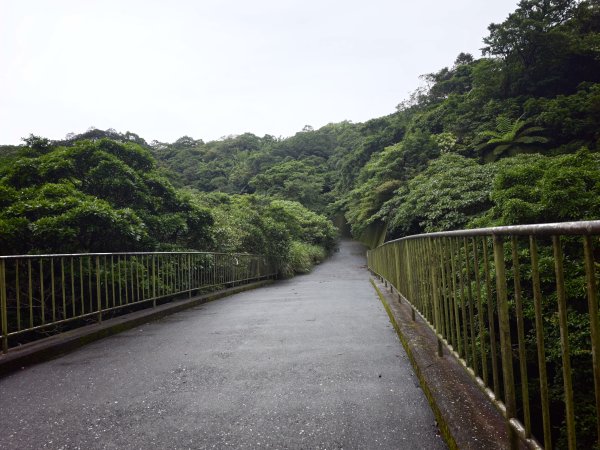 [淡蘭古道] 2026_0614 北路第三段_道路3075529