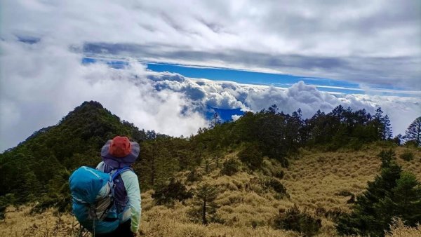 北二段之 甘薯無明2611908