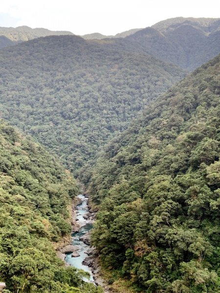 烏來 福山 大羅蘭溪古圳輕鬆步道785022