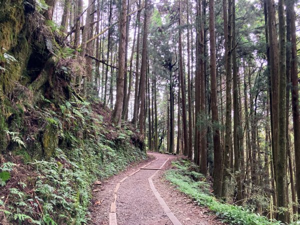 特富野古道2625598