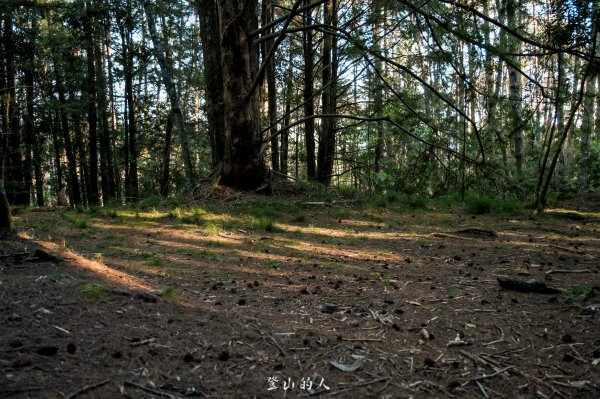 霞山鐵道野營2843106