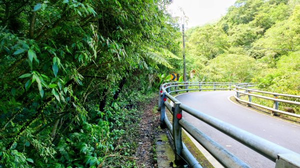 雙溪下坑古道2859464