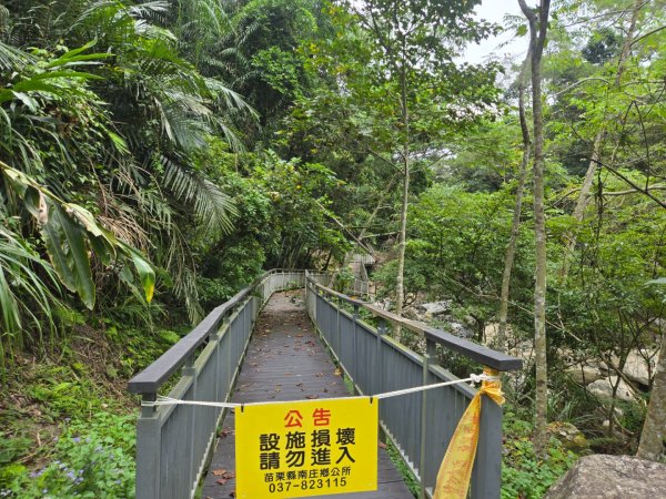 四十二份坪步道3127347