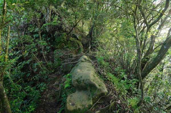 新北 石碇 皇帝殿東峰2628225