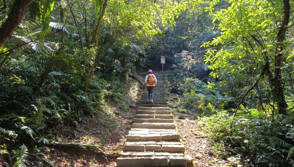 (姨婆趴趴走)第四十八集:新北草嶺古道（福隆車站-大里車站）2747665