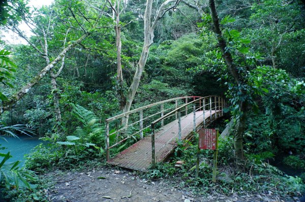 新竹 關西 蓬萊仙島山、石牛山、油井窩山、福大山2982376